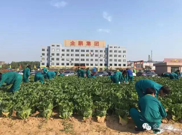 1481163655335512.png 圖片.png